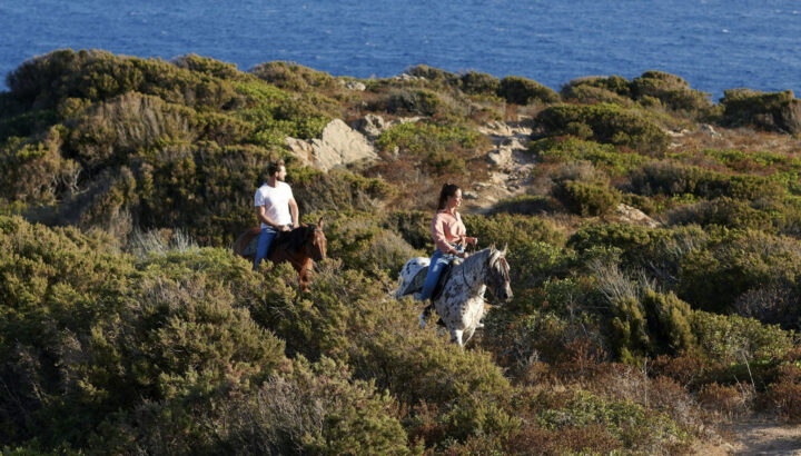 Esperienza a cavallo